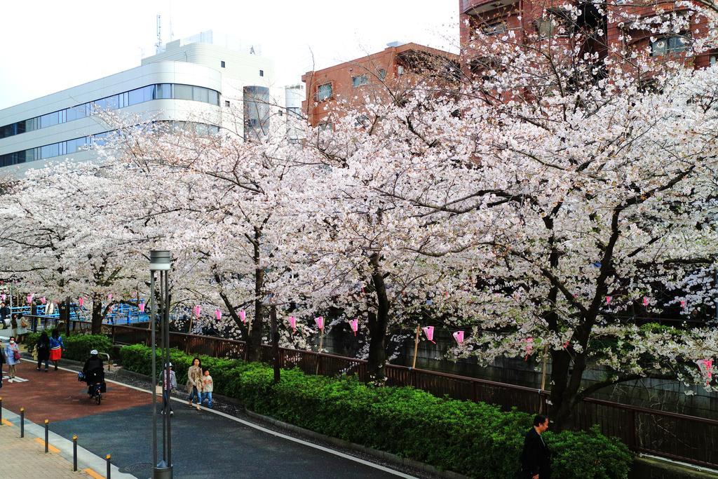 Apartament Coto Tokyo Shibuya Zewnętrze zdjęcie